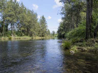 Farm For Sale - NSW - Bellingen - 2454 - Architectural flair and environmental design, set on 41.41 acres with 300m of river frontage!  (Image 2)