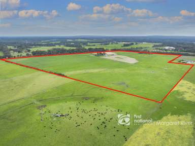 Farm For Sale - WA - Cowaramup - 6284 - RURAL FARM WITH BUSSELL HIGHWAY FRONTAGE  (Image 2)