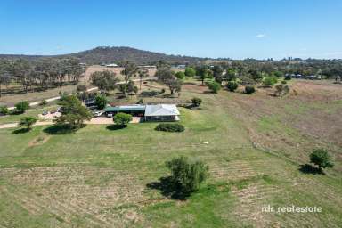 Farm For Sale - NSW - Inverell - 2360 - RURAL LIVING ON THE EDGE OF TOWN  (Image 2)