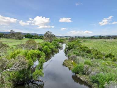 Farm For Sale - NSW - Wyanbene - 2622 - 79 Mackeys Lane  (Image 2)