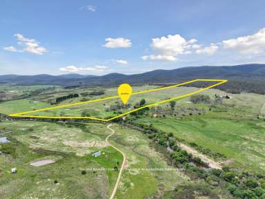 Farm For Sale - NSW - Wyanbene - 2622 - 79 Mackeys Lane  (Image 2)