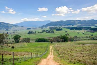 Farm For Sale - NSW - Wyanbene - 2622 - 79 Mackeys Lane  (Image 2)