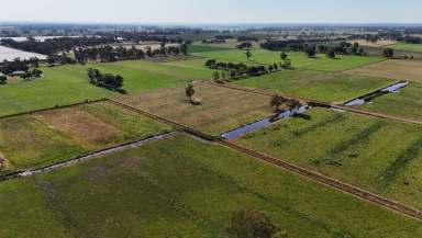 Farm For Sale - VIC - Yarroweyah - 3644 - Prime Grazing/Cropping/Potential Horticultural Property  (Image 2)