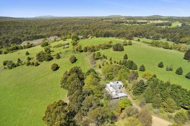 Farm For Sale - VIC - Musk - 3461 - ALTISSIMO  ESTATE – A Timeless Masterpiece of Modern Georgian Grandeur designed by renowned architect Clinton Krause  (Image 2)