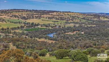 Farm For Sale - WA - Dumbarton - 6566 - Spectacular Views Await – Build Your Dream Home Here!  (Image 2)