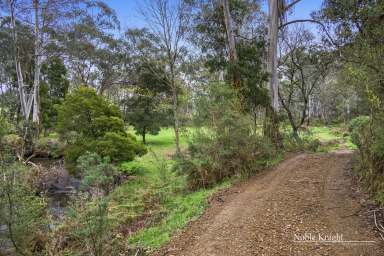 Farm For Sale - VIC - Murrindindi - 3717 - Camp Serenity on 6 Acres (Approx.)  (Image 2)