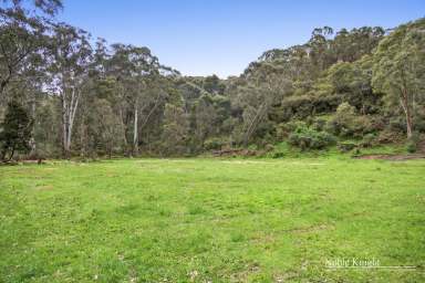 Farm For Sale - VIC - Murrindindi - 3717 - Camp Serenity on 6 Acres (Approx.)  (Image 2)