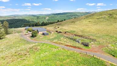 Farm For Sale - VIC - Callignee - 3844 - Modern living with Country charm!  (Image 2)