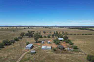 Farm For Sale - NSW - Euberta - 2650 - Quality Country close to WAGGA WAGGA
 Purchase as a whole or the pick of two lots!  (Image 2)