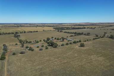 Farm For Sale - NSW - Euberta - 2650 - Quality Country close to WAGGA WAGGA
 Purchase as a whole or the pick of two lots!  (Image 2)