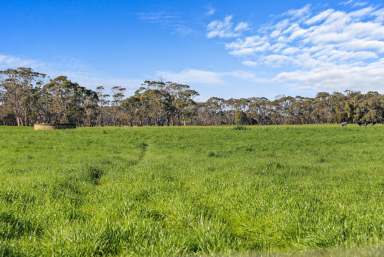 Farm Sold - VIC - Nullawarre - 3268 - QUALITY COUNTRY FOR  CATTLE GRAZING & LIFESTYLE OPPORTUNITY
DAIRY – FATTENING – FODDER  (Image 2)