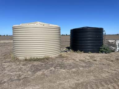 Farm For Sale - NSW - Cryon - 2832 - Wall to Wall Cryon Cropping Block  (Image 2)