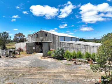 Farm For Sale - VIC - Jack River - 3971 - Willow Grove - Home on 5 Acres  (Image 2)