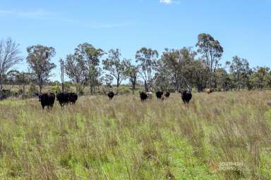 Farm For Sale - QLD - Karara - 4352 - “AVONLEIGH” - 857-ACRE RURAL GRAZING PROPERTY IN KARARA DISTRICT  (Image 2)