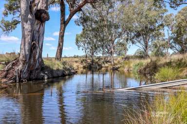 Farm For Sale - QLD - Karara - 4352 - “AVONLEIGH” - 857-ACRE RURAL GRAZING PROPERTY IN KARARA DISTRICT  (Image 2)