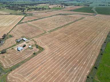 Farm For Sale - VIC - Katunga - 3640 - Choice Katunga Land - 144.5 acres (approx.) 58.48ha  (Image 2)