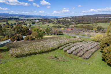 Farm For Sale - TAS - Legana - 7277 - Rural Lifestyle, Conveniently Located  (Image 2)