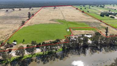 Farm For Sale - VIC - Cohuna - 3568 - OUTSTANDING LOCATION  (Image 2)