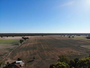 Farm For Sale - VIC - Cohuna - 3568 - OUTSTANDING LOCATION  (Image 2)