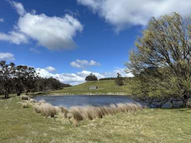 Farm For Sale - TAS - Woodsdale - 7120 - Picturesque and productive  (Image 2)