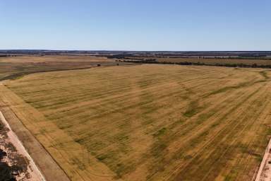 Farm For Sale - WA - Hyden - 6359 - BROADACRE OPPPORTUNITY BECKONS  (Image 2)