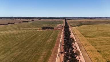 Farm For Sale - WA - Hyden - 6359 - BROADACRE OPPPORTUNITY BECKONS  (Image 2)