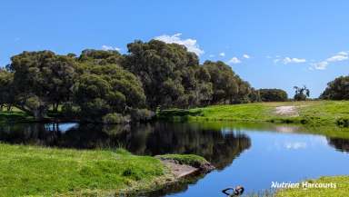 Farm For Sale - WA - Coonabidgee - 6503 - One of the best blocks around Gingin - Premium Property!  (Image 2)