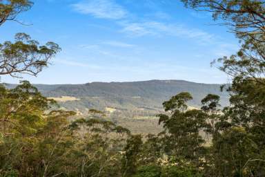 Farm For Sale - NSW - Kangaroo Valley - 2577 - Night Sky  (Image 2)