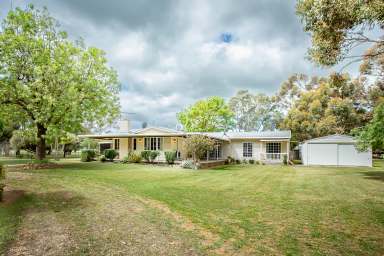 Farm For Sale - VIC - Apsley - 3319 - Glenrowan: aspect, position and opportunity  (Image 2)