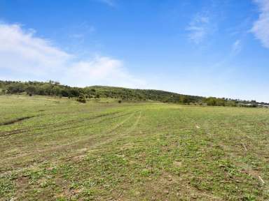 Farm Sold - QLD - Gowrie Junction - 4352 - Beautiful Position!  (Image 2)