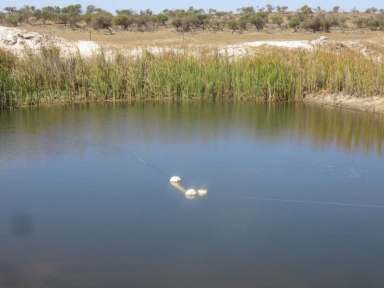 Farm Sold - WA - Nambung - 6521 - Rothesay - Nambung WA  (Image 2)