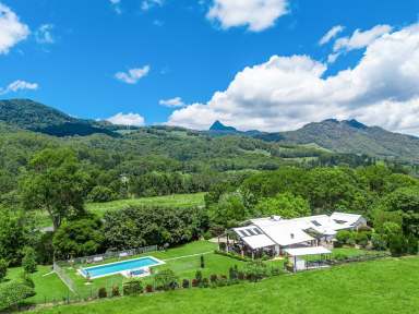 Farm For Sale - NSW - Eungella - 2484 - AN EXCEPTIONAL INVESTMENT OPPORTUNITY OR LUXE LIFESTYLE RURAL RETREAT  (Image 2)