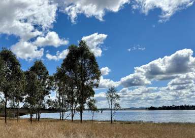 Farm Auction - QLD - Barambah - 4601 - Lakefront Acreage - Opportunity Awaits  (Image 2)