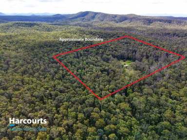 Farm For Sale - NSW - Possum Brush - 2430 - "Once In a lifetime"  (Image 2)