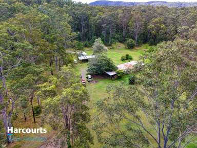 Farm For Sale - NSW - Possum Brush - 2430 - "Once In a lifetime"  (Image 2)