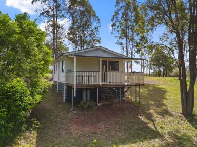 Farm For Sale - QLD - Glenwood - 4570 - LOOKS LIKE A NEW BUILD  (Image 2)