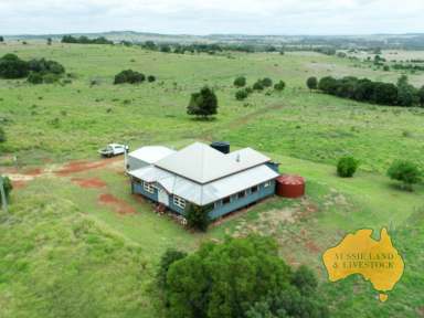 Farm For Sale - QLD - Mp Creek - 4606 - Productive Pastures Plus Water  (Image 2)