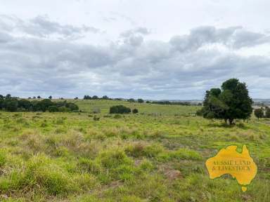 Farm For Sale - QLD - Mp Creek - 4606 - Productive Pastures Plus Water  (Image 2)