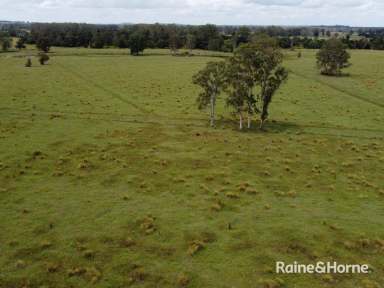 Farm For Sale - NSW - Yorklea - 2470 - ''RED GUM PARK''  (Image 2)