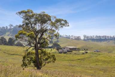 Farm For Sale - NSW - Araluen - 2622 - 474 Neringla Road  (Image 2)