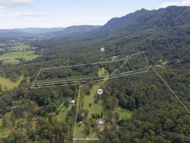 Farm For Sale - NSW - Bellingen - 2454 - Private 100acres in Gleniffer nestled under McGraths Hump with Younger's Creek Frontage  (Image 2)