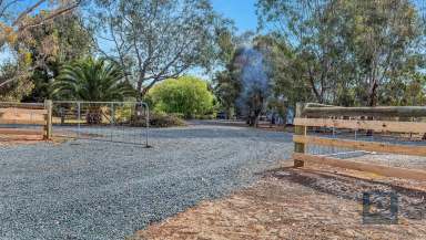 Farm For Sale - VIC - Echuca - 3564 - Rural Escape on 100 Acres  (Image 2)