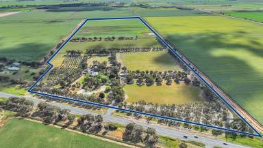 Farm For Sale - VIC - Echuca - 3564 - Rural Escape on 100 Acres  (Image 2)