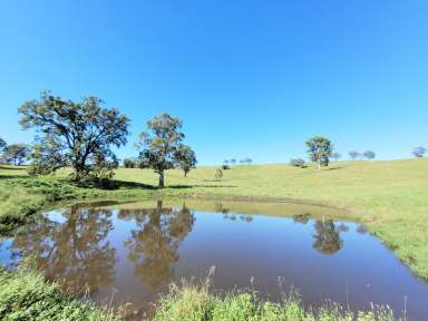 Farm For Sale - NSW - Neringla - 2622 - 552 Neringla Road  (Image 2)