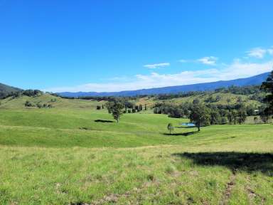 Farm For Sale - NSW - Neringla - 2622 - 552 Neringla Road  (Image 2)