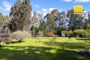 Farm For Sale - WA - Nannup - 6275 - 15 ACRES NESTLED IN THE BUSH  (Image 2)