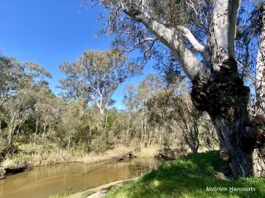 Farm For Sale - VIC - Bahgallah - 3312 - Glenelg River Retreat.  (Image 2)