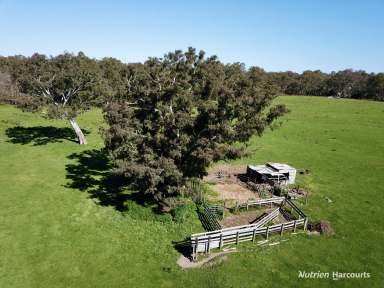 Farm For Sale - VIC - Bahgallah - 3312 - Glenelg River Retreat.  (Image 2)