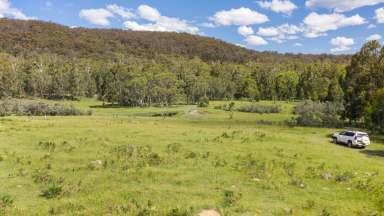 Farm For Sale - NSW - Hereford Hall - 2622 - 733 Hereford Hall Road  (Image 2)