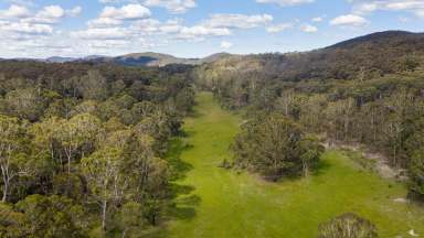 Farm For Sale - NSW - Hereford Hall - 2622 - 733 Hereford Hall Road  (Image 2)